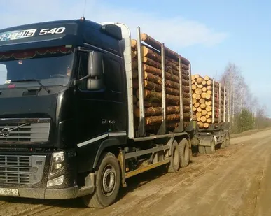 фото Сортиментовоз Volvo FH 16.