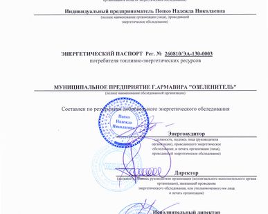 фото Энергопаспорт