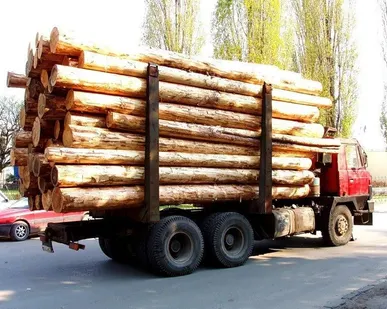 фото Аренда Лесовоза бревно