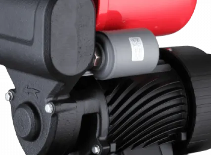 Фото №1 Насосная станция TGP125 PUMPMAN, 35 л/мин, напор 35м, высота подъема 8м, бак 2 л