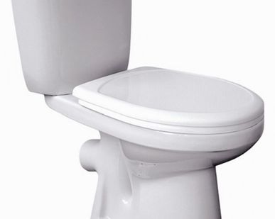 фото Унитаз Анимо SANTEK
