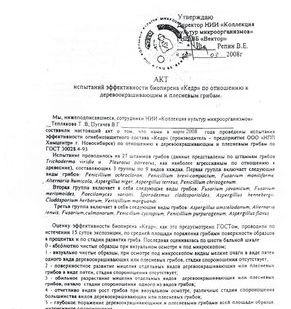 фото Антисептик (концентрат) «Кедр-доктор» летний
