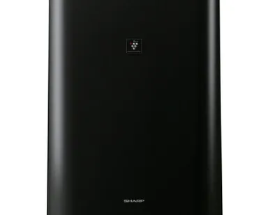 фото Климатический комплекс Sharp KC-D41RB черный SHARP