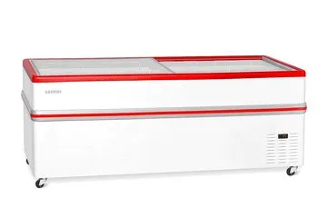 фото Ларь Бонета Bonvini BF 2100L