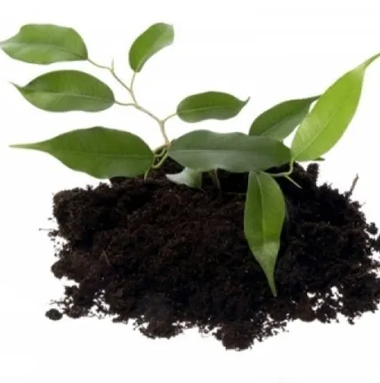 Фото №0 Плодородный грунт