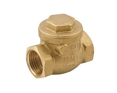 фото Клапан обратный ELSEN дисковый горизонтальный 3/4 ВВ PN бар-10