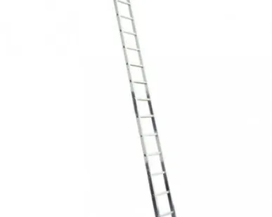 фото Лестница односекционная профессиональная Алюмет P1 9114