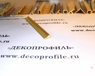 фото Вставка Progress латунь 2,7 м - Латунь полированная - 5х10 мм