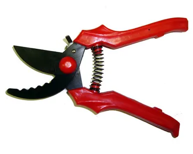 фото Секатор