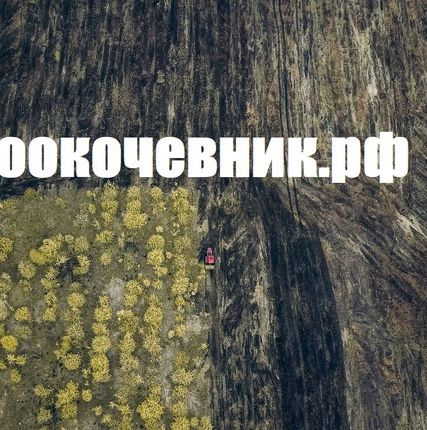 Фото №3 Корчевание пней, деревьев, лесополос, садов
