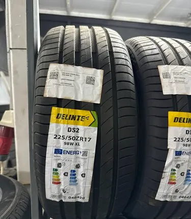 Фото №0 Шины Delinte ds2 225/50 R17