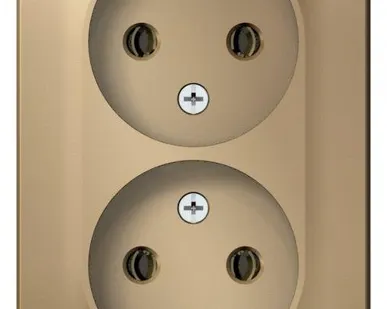 фото Розетка 2-м ОП BLANCA 16А 250В без шторок без заземл. изол. пласт. титан SchE BLNRA000214