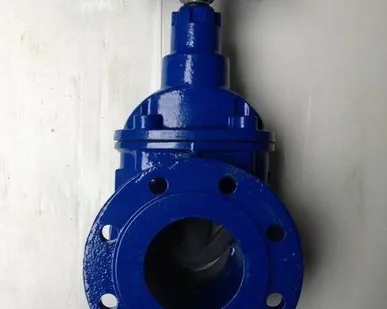 фото Задвижка чугунная 30ч6бр Ру 16 с параллельным затвором для труб Seagull