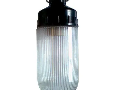 фото Светильник НСП 02-100-001 "Желудь Ф" IP65 корпус карболит Элетех 1005550307