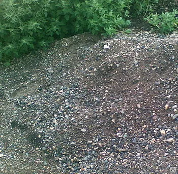 Фото №0 ПГС с доставкой