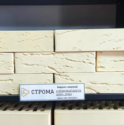 Фото №0 СТРОМА Слоновая кость Кора Дуба 1НФ