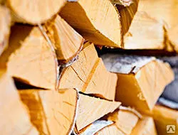 Фото №0 Дрова березовые камерной сушки упаковка в сетку