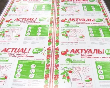 фото Поликарбонат 4мм 2,1*3,0м прозрачный