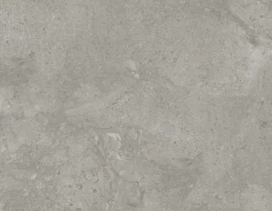 фото керамический гранит reef stone matt 60*120