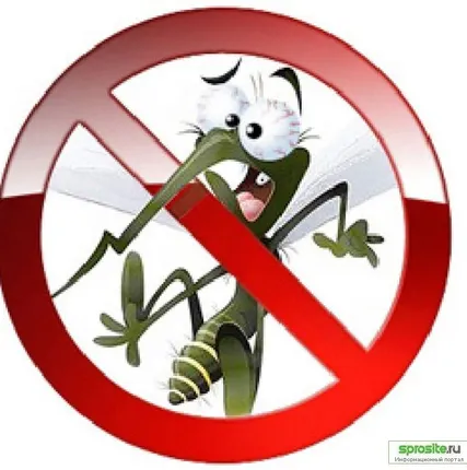 Фото №0 Москитная сетка за 1 день