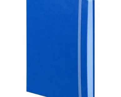 фото Ежедневник Factor, недатированный, голубой