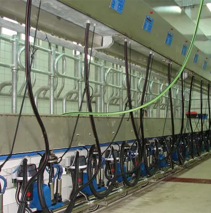 Фото №0 Сервис (техническое обслуживание) доильного зала