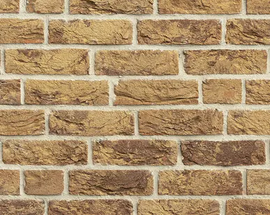 фото Кирпич облицовочный Донские зори Видное, 215*102*65 мм