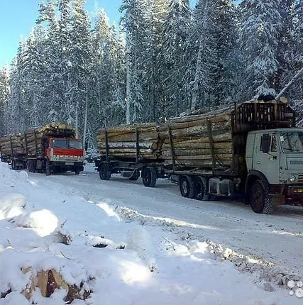 Фото №0 Лесовоз камаз с прицепом