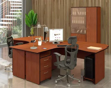 фото Набор мебели для офиса Рубин 41 207