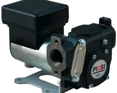 фото Panther DC 24/12V - Роторный лопастной электронасос для ДТ (каб. пит. 4 м с клеммами), 70/35 л/мин