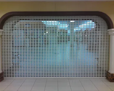 фото Роллетные решетки