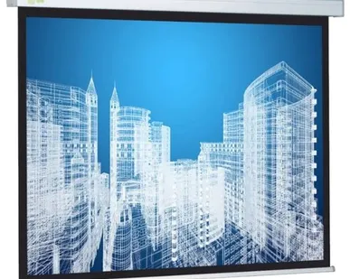 фото Рулонный матовый белый экран