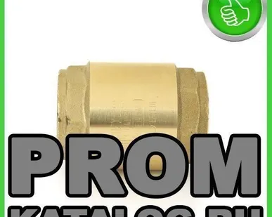 фото Клапан обратный пружинный