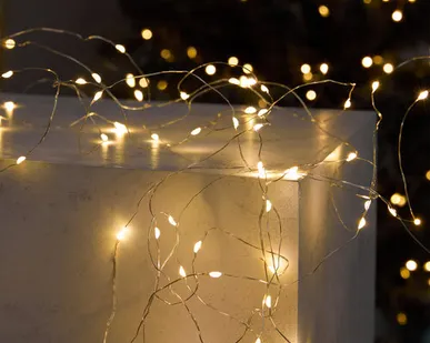 фото Гирлянда Lucciola II