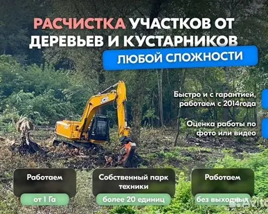 фото Расчистка территорий от деревьев и пней от 1 Га