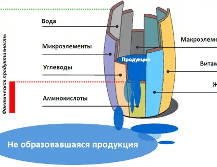 Фото №0 Ольга