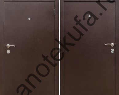 фото Дверь входная металлическая Мини