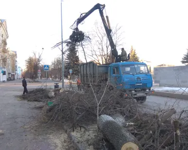 фото Услуги ломовоза