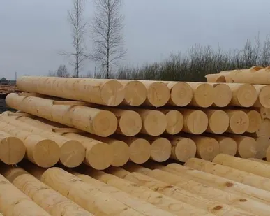 фото Оцилиндрованное бревно большого диаметра 300-1500 мм, лиственница
в