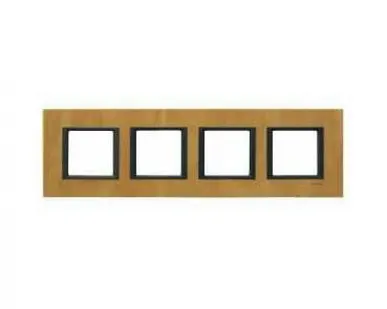 фото MGU68.008.7P1