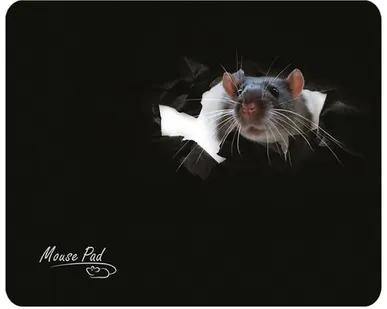 фото Коврик Dialog PM-H15 Mouse