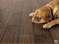 Фото №0 Плитка ПВХ