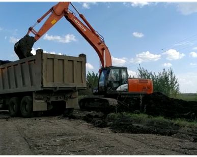 фото Чернозем (грунт плодородный)