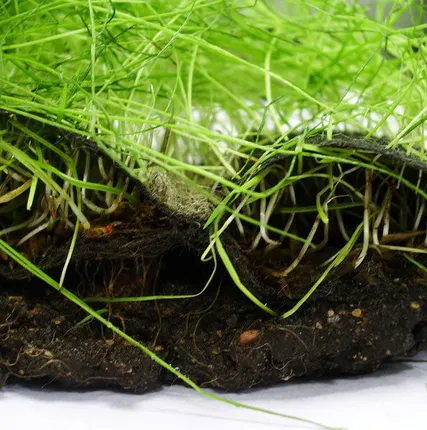 Фото №0 Биомат Стабитекс-БИО /80