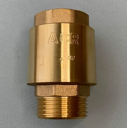 Фото №0 Обратный клапан 1"