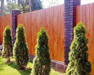 фото Профнастил под дерево