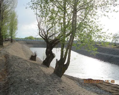 фото Укрепление берега