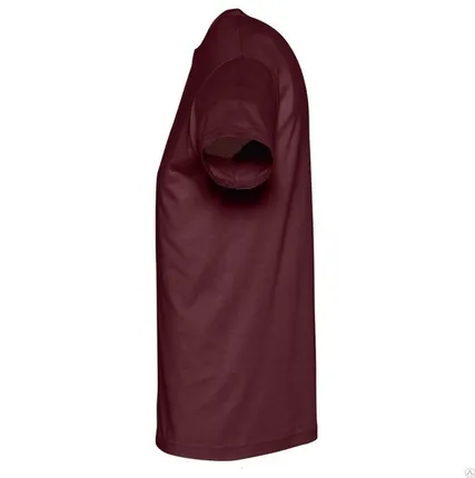 Фото №0 Футболка REGENT 150, бордовая