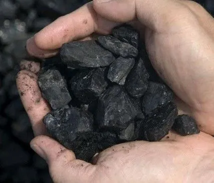 Фото №0 Уголь дом фракции 13-50