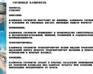 фото Сосновая канифоль